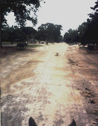 The view from higher up  . . . a rainy day on Duke of Gloucester Street, Williamsburg